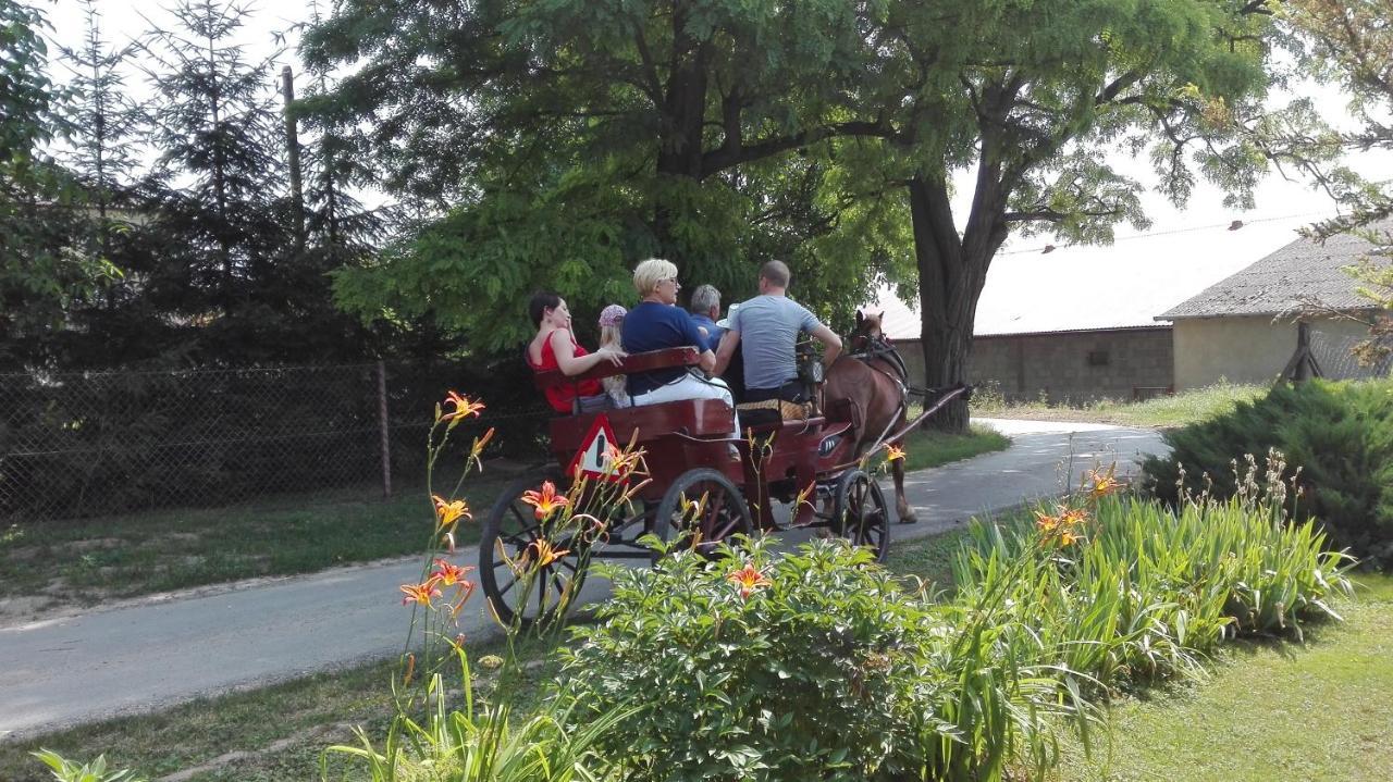 Swieze Poddasze U Przybyszow Andruszkowice Dış mekan fotoğraf