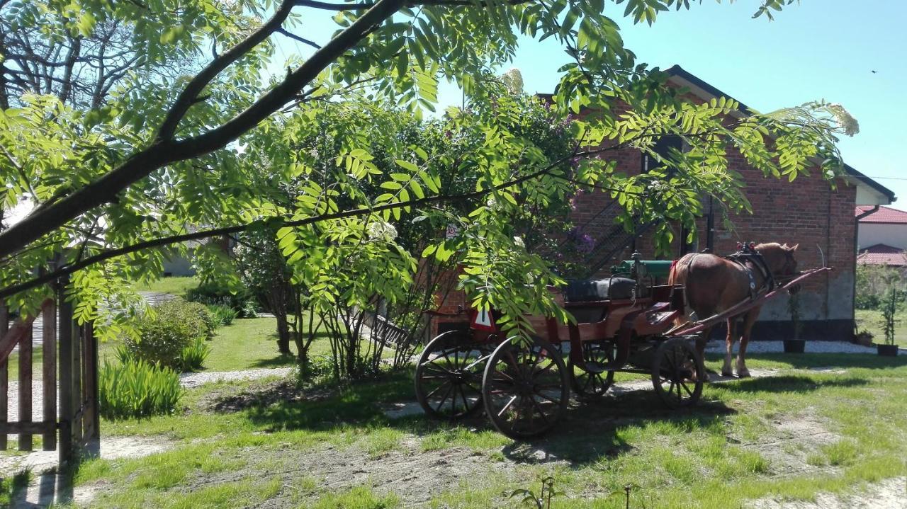 Swieze Poddasze U Przybyszow Andruszkowice Dış mekan fotoğraf